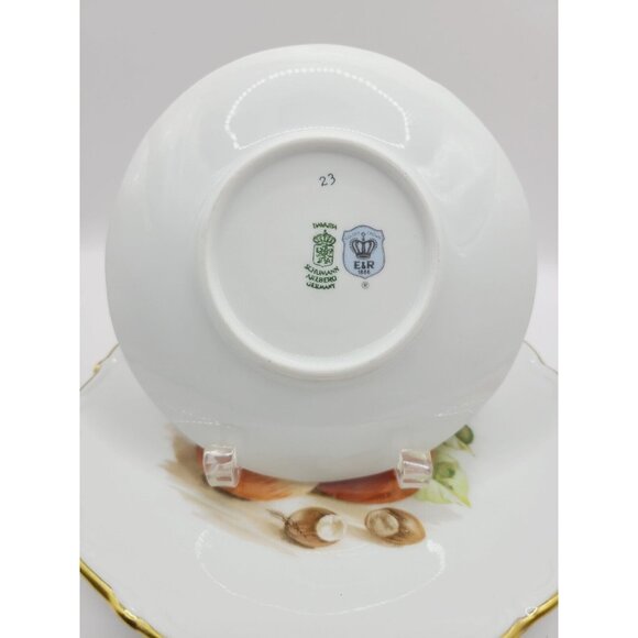 Vtg Schumann Arzberg Germany Tea Set Cup & Saucer Dessert Plate Apple Fruit - Picture 9 of 16